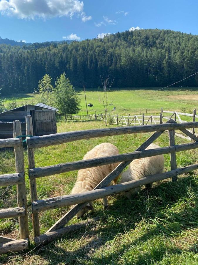 Mysliwski Zakopane