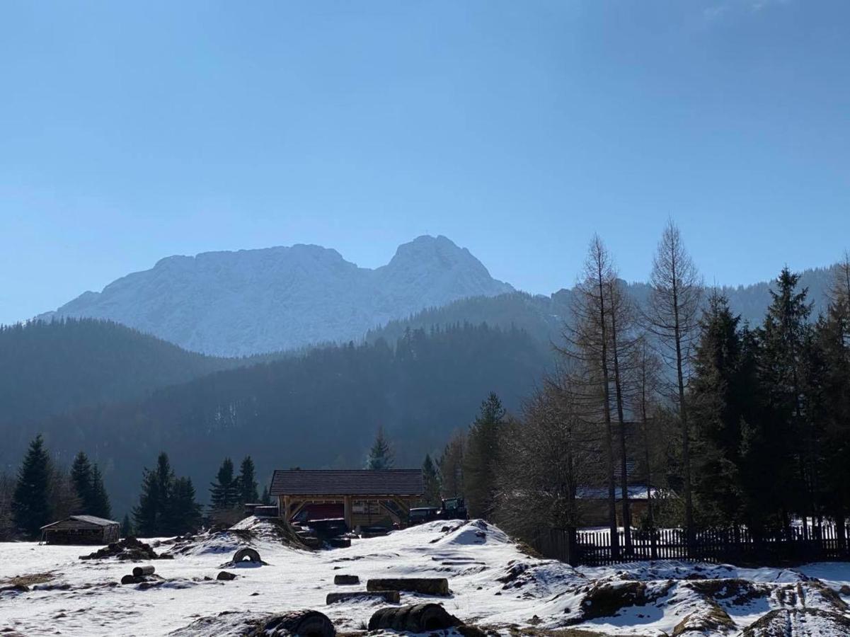 Mysliwski Apartament